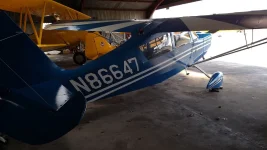 Van Sant gcaa2.webp