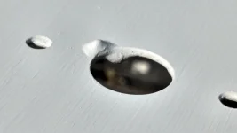 nubbies in primer.webp