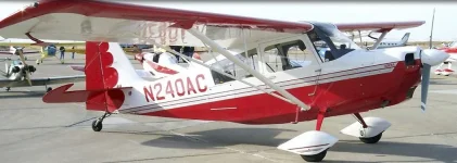 maroon white scallop.webp