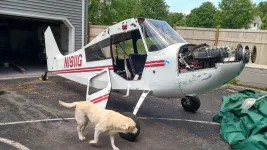 IMG_20190516_141752393_HDR.webp