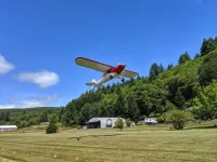 IMG_20190622_141901-01.webp