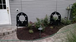 brake plates.webp