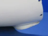 Cowling detail.webp