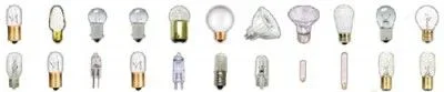 bulbs.webp