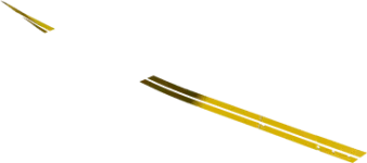 13_champion yellow_ss.webp