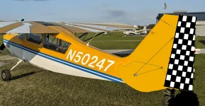 checkers black and white.webp