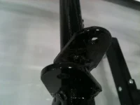 two lugs.webp