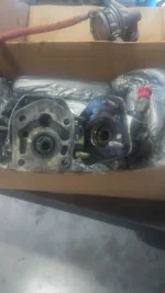 Gov gasket.webp