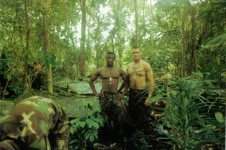 Jungle school.webp