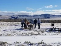 thumbnail_20201212_112819.webp