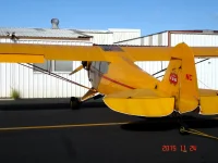 Cub with N number gone.webp