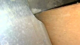 JPEG image-40E2-82AA-1D-0.webp