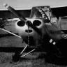 champstearman
